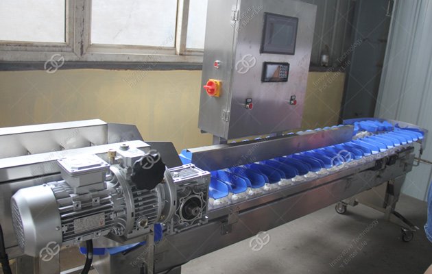 Machine de tri et de pesage de mangues à vendre