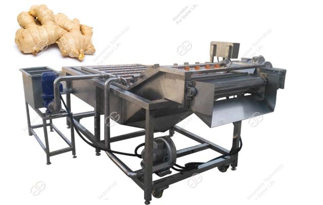 Machine à laver le gingembre à bulles d'air