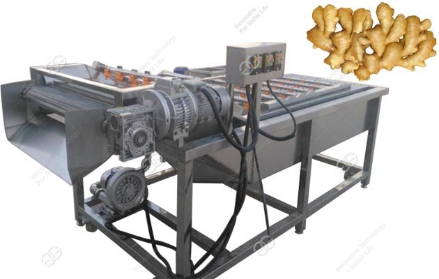 Machine à laver le gingembre à bulles d'air