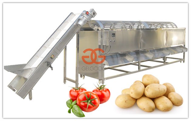 Machine de calibrage automatique des pommes de terre
