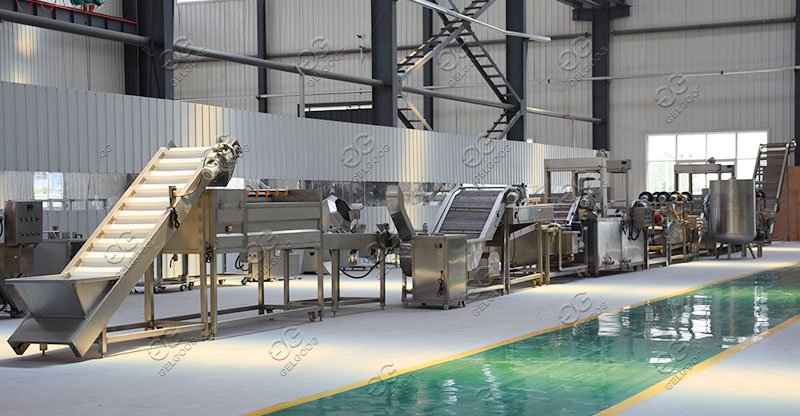 Ligne de production de frites GELGOOG de 500 kg/h