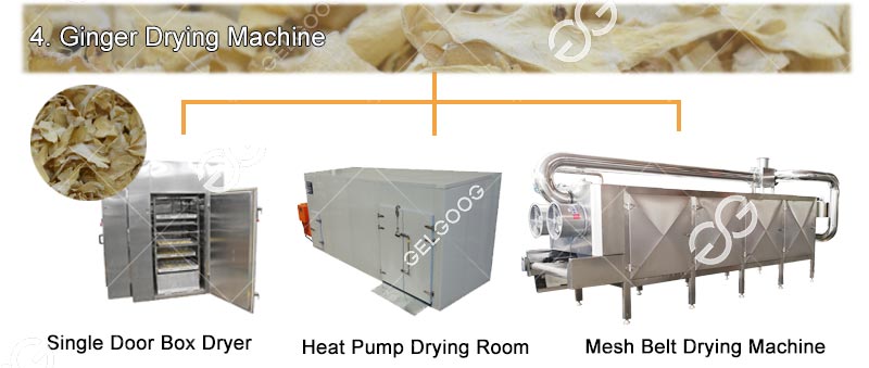 Machine de séchage de tranches de gingembre