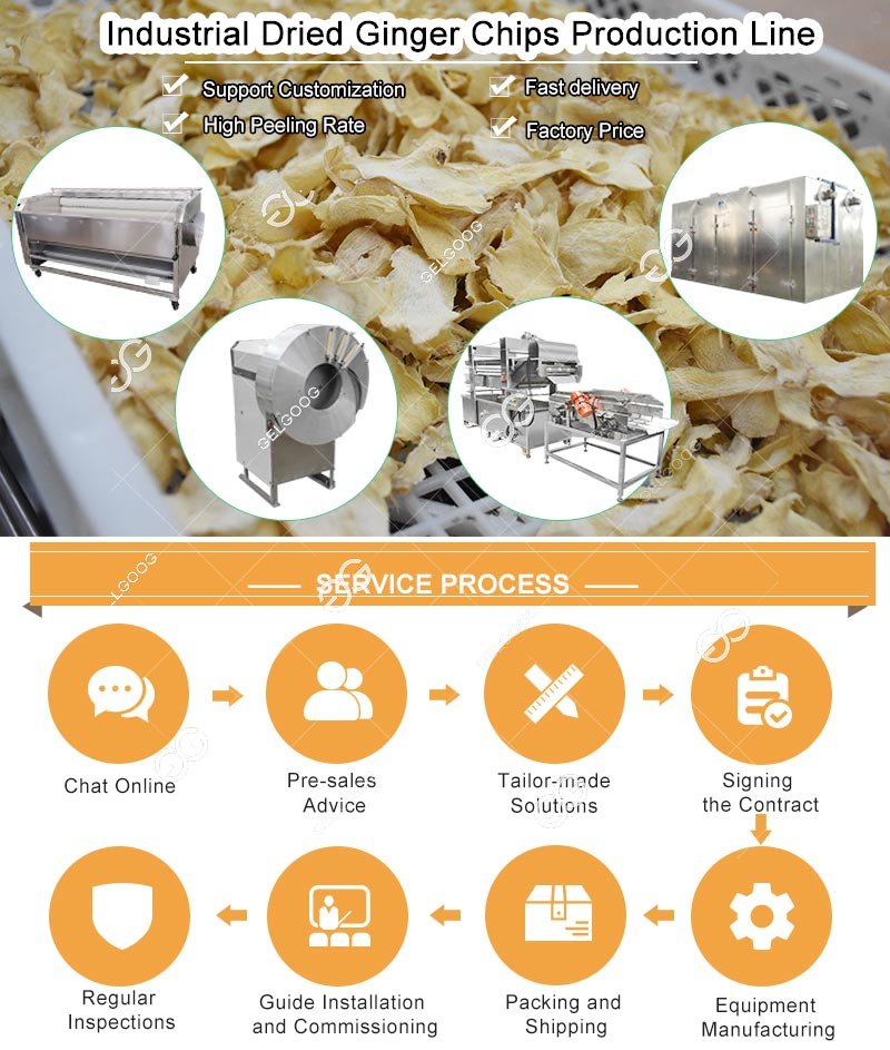 Machine de séchage et de tranchage de chips de gingembre séchées