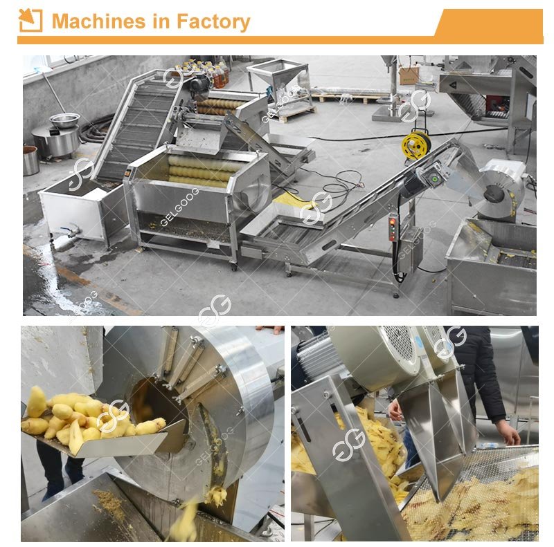 Équipement de traitement des chips de gingembre