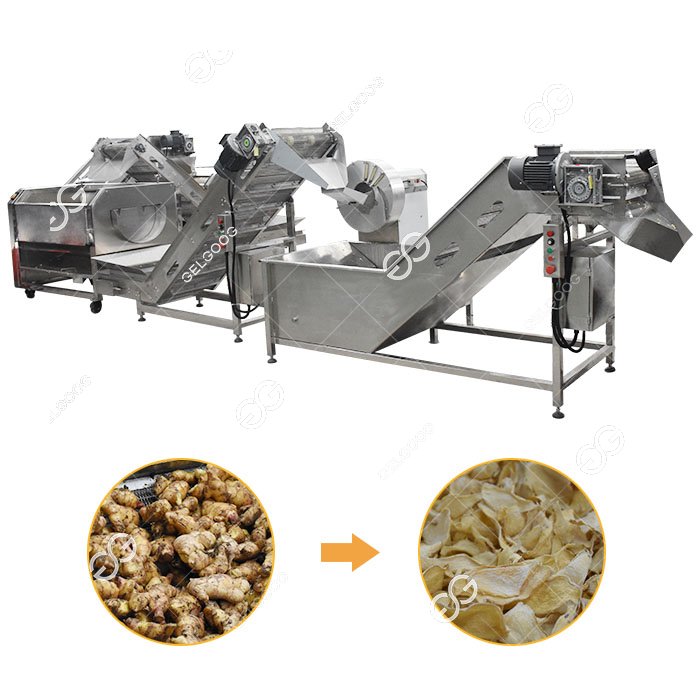 Machine de traitement de chips de gingembre séchées